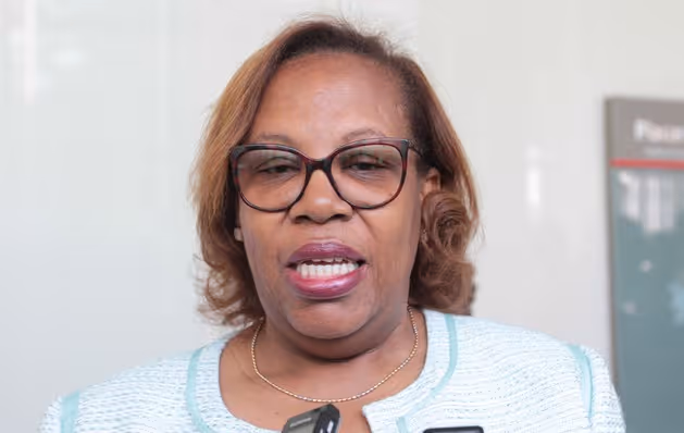 A actualização do material curricular é imprescindível para se atingir a qualidade do ensino, afirma ministra da Educação