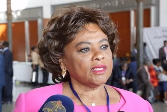 Carolina Cerqueira releva necessidade de se reinventar iniciativas culturais