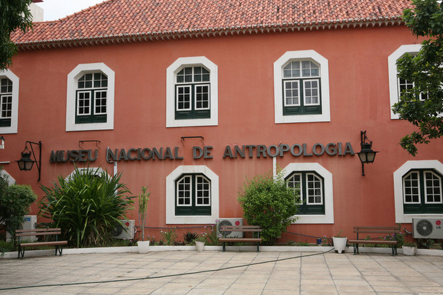 Museu Nacional de Antropologia receberá novos livros