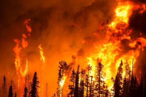 “Não há registo de incêndios florestais em Angola desde o ano passado”