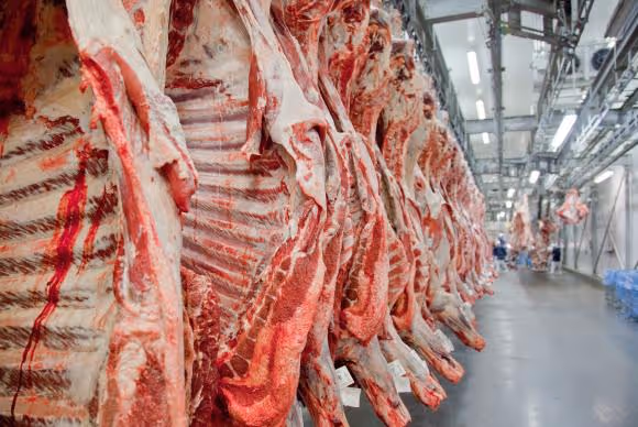 Brasil lidera exportação de carne bovina e expõe produto para mais investimentos em Angola