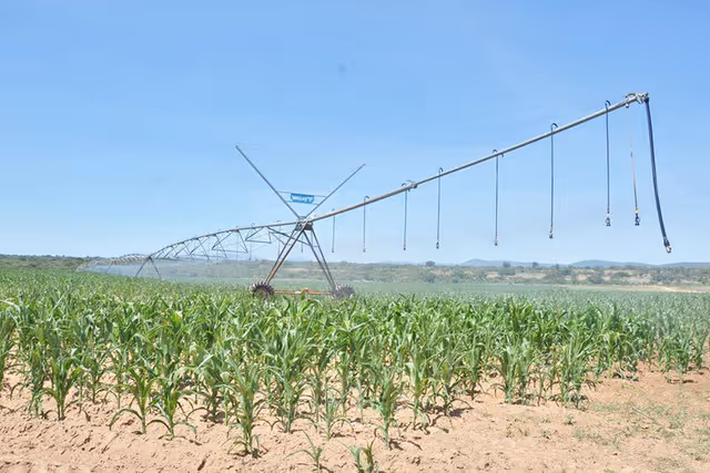Caxito: Produção agrícola afectada pela escassez de sementes e equipamentos de trabalho