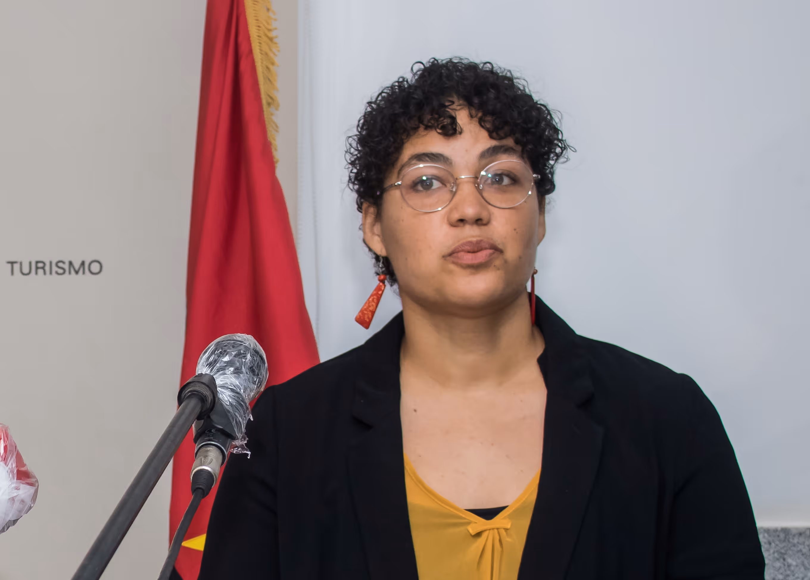 Ministra alerta que a densidade populacional das tartarugas regista um declínio