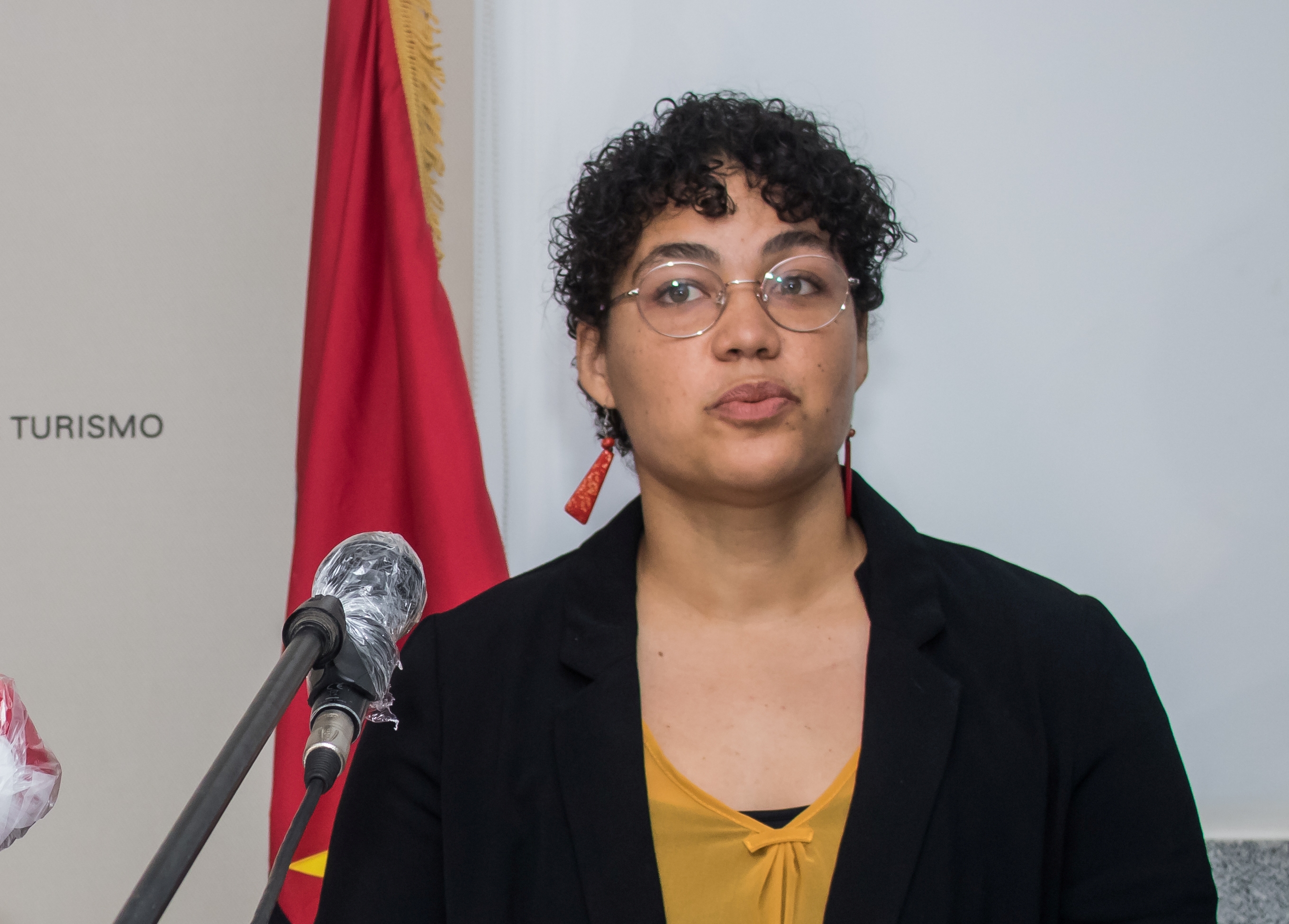 Ministra alerta que a densidade populacional das tartarugas regista um declínio