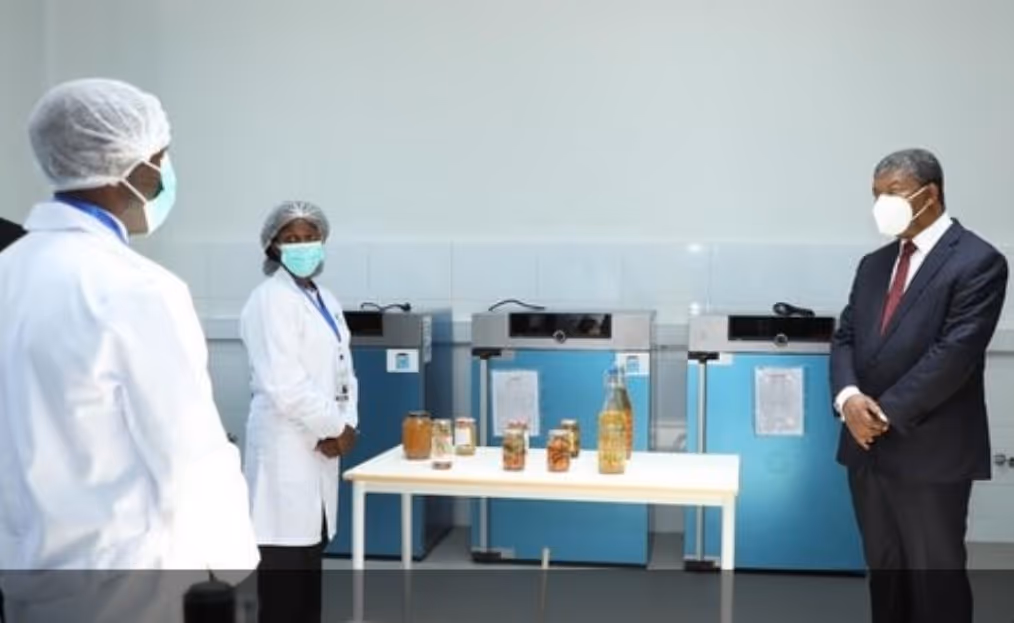 País vai apostar na tecnologia agro-alimentar  para se tornar uma potência