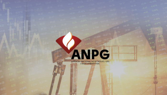ANPG promove webinar com imprensa angolana