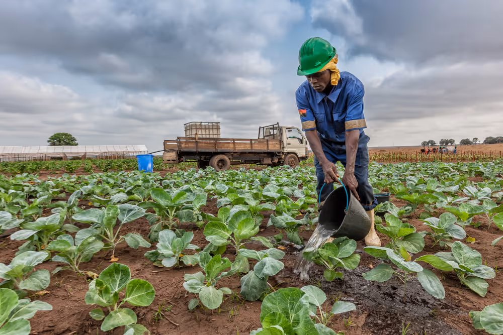 Brasil prepara investimento para agricultura e demais sectores em Angola