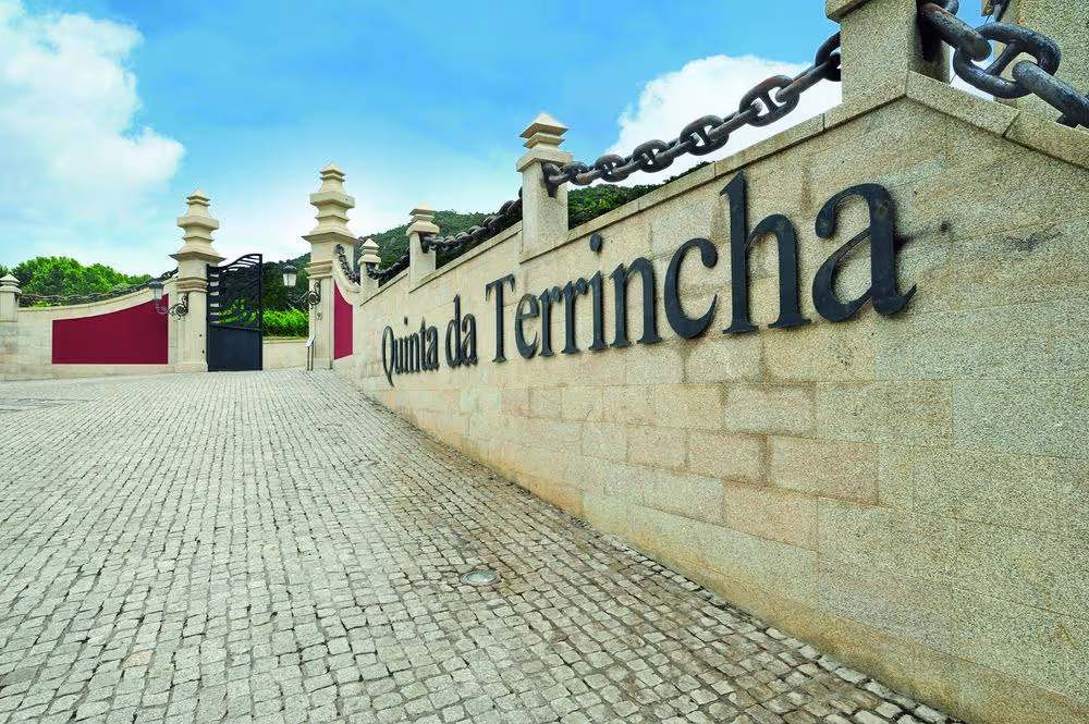 Quinta da Terrincha inaugura primeira loja em Angola