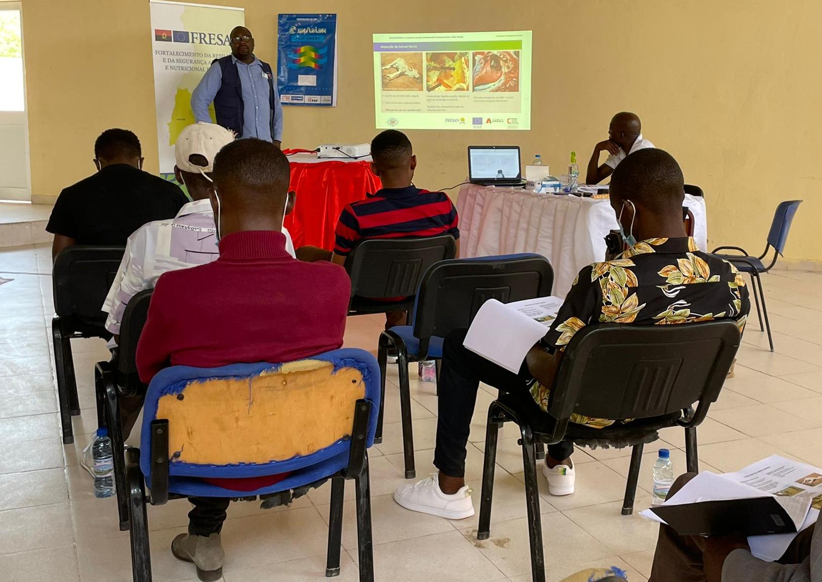 Formação visa promover o acesso dos criadores tradicionais de gado a serviços de veterinária