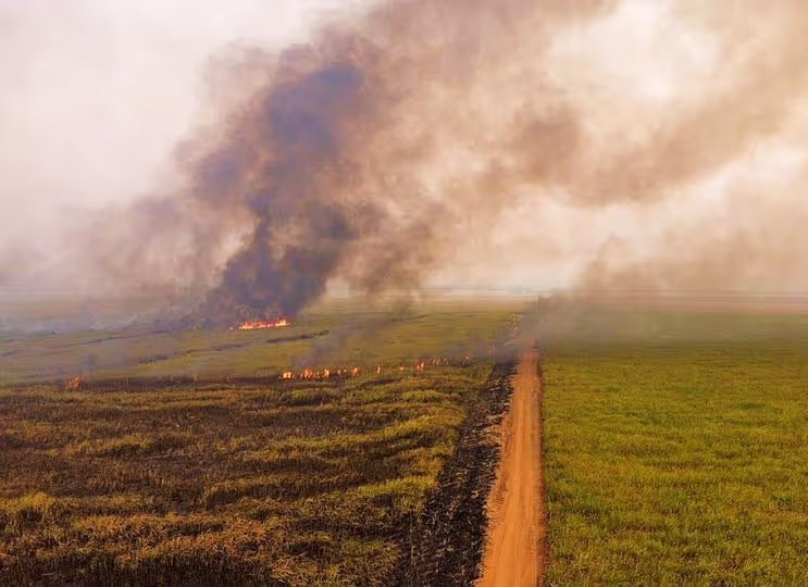Prática da caça terá provocado incêndio nas plantações da BIOCOM