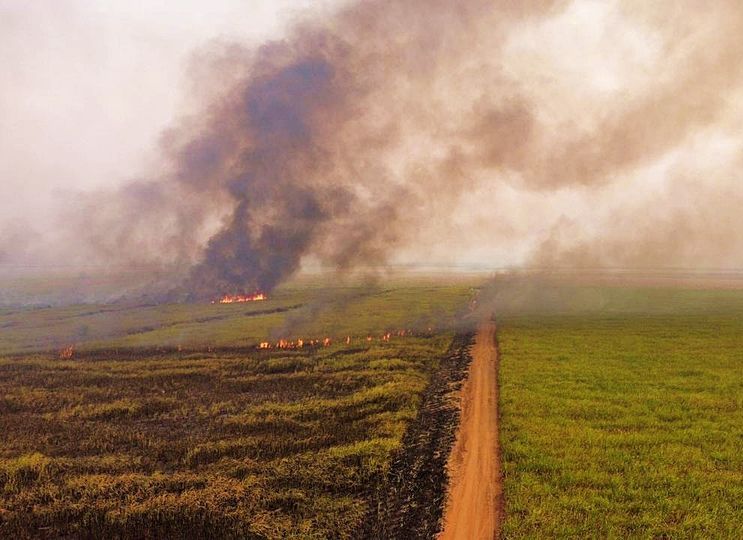 Prática da caça terá provocado incêndio nas plantações da BIOCOM