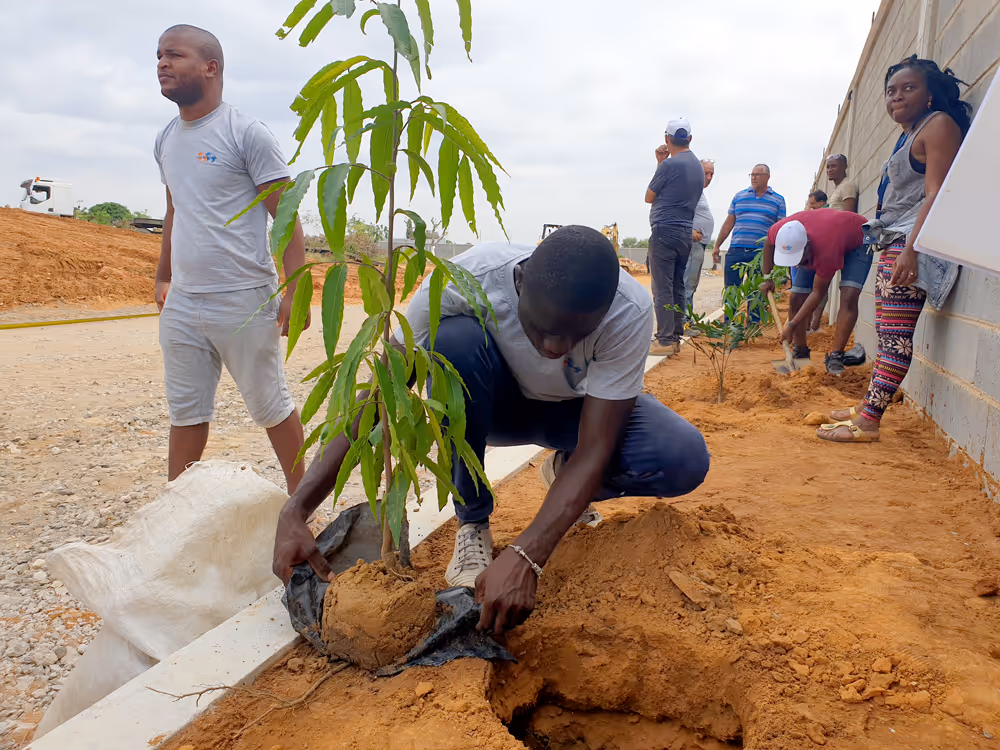 Angola pretende plantar quase mil milhões de árvores para “travar o avanço silencioso do deserto”