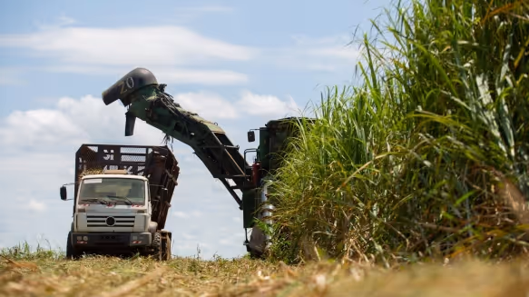 Biocom tem disponível 40 mil toneladas de açúcar para dar ao mercado