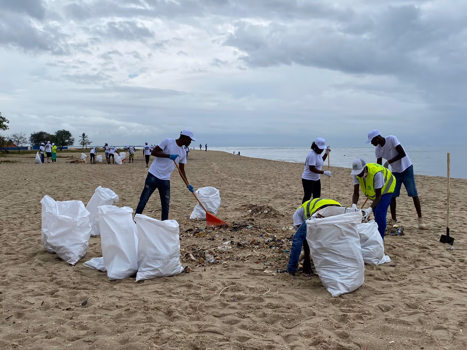 Acção de limpeza reduz lixo na praia Areia Branca