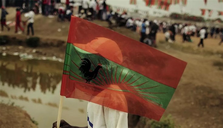 UNITA lamenta falta de rumo do país e apela à “aposta séria” na agricultura