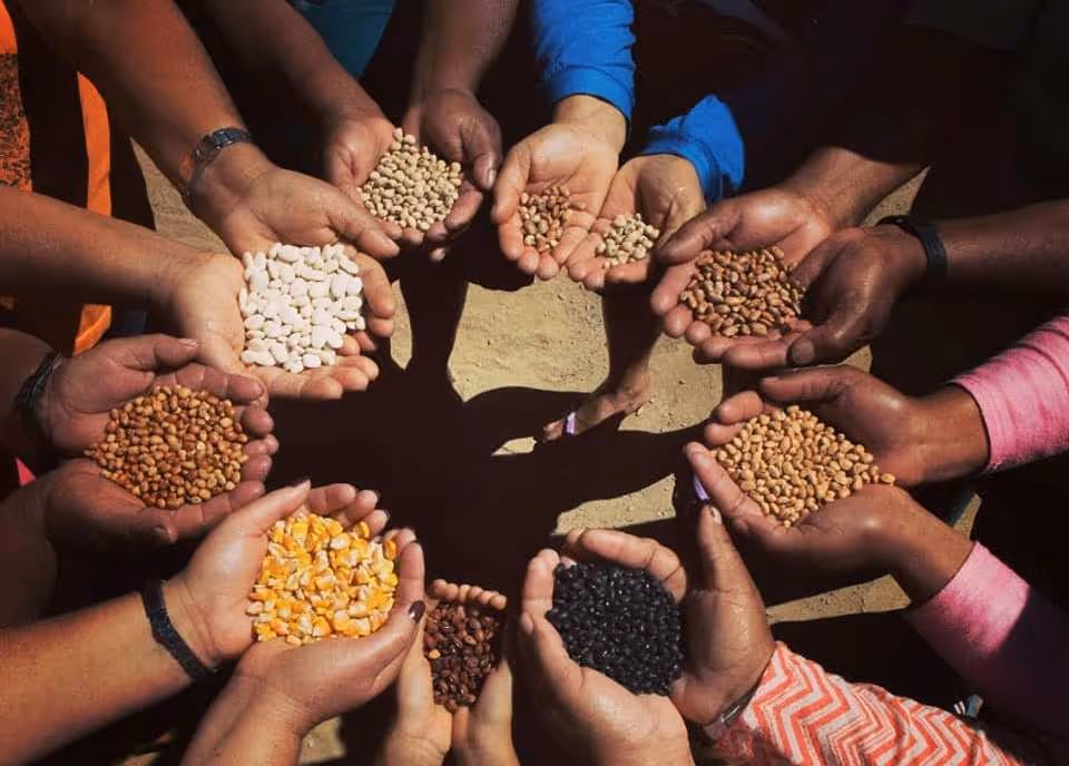 Geração de renda e desenvolvimento sustentável norteiam 1º Fórum Angolano Sobre Economia Solidária