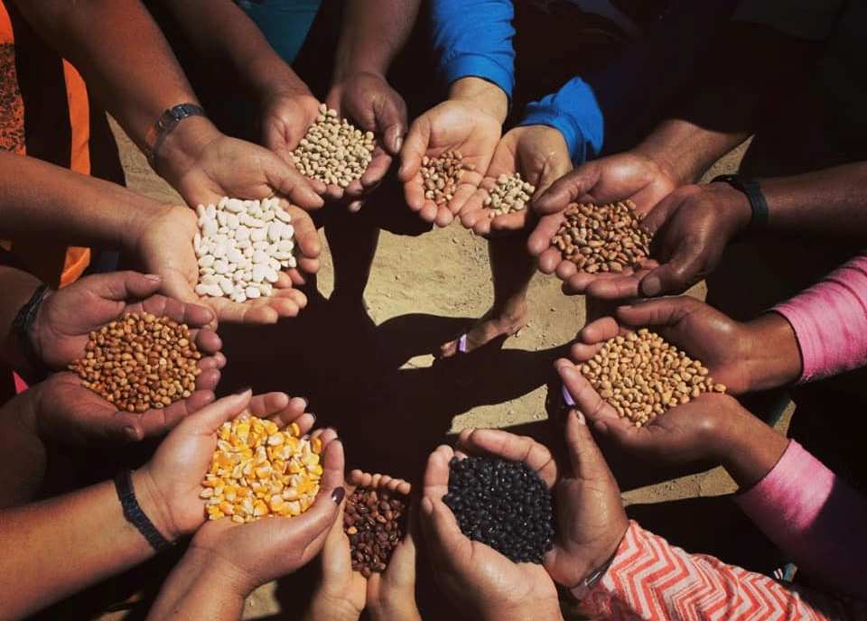 Geração de renda e desenvolvimento sustentável norteiam 1º Fórum Angolano Sobre Economia Solidária 