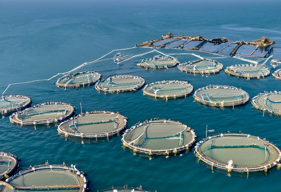 Linha costeira de Angola oferece “grande potencial para o desenvolvimento da Economia Azul” 