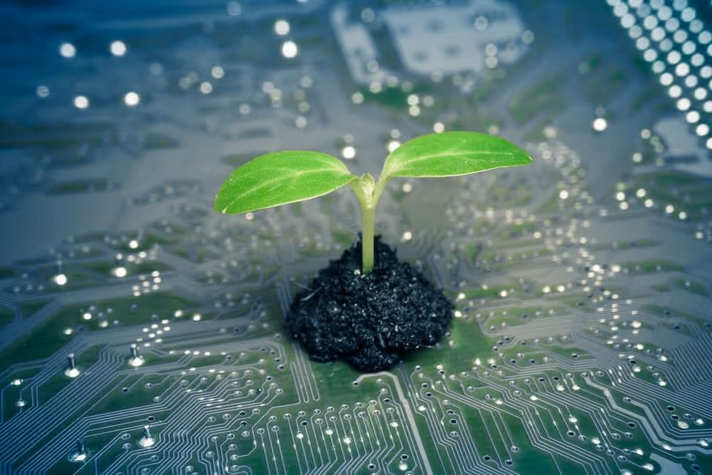 Angola receberá ajuda da Estónia na implementação da tecnologia verde