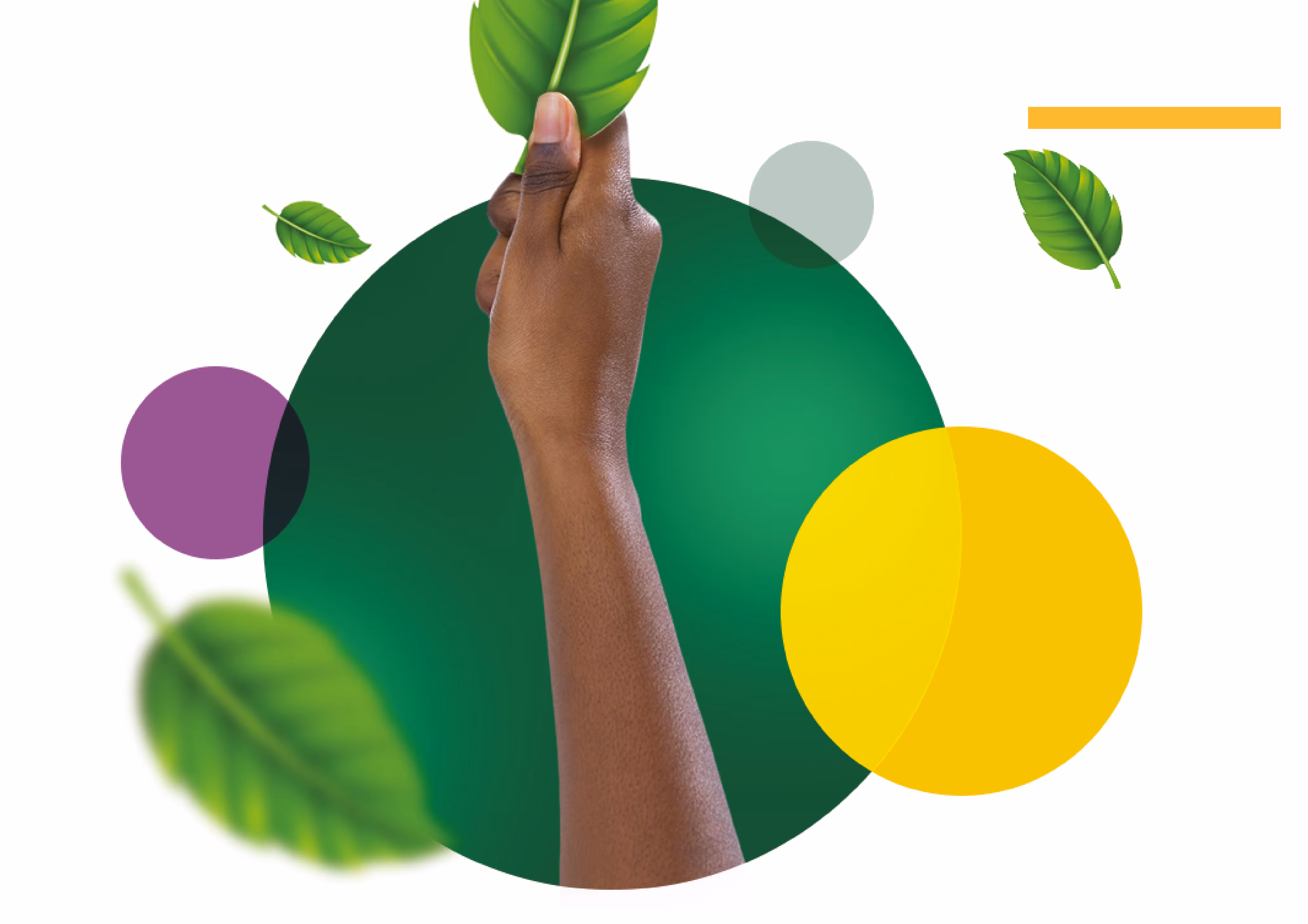 Conferência sobre Sustentabilidade em Angola leva debates à Academia BAI