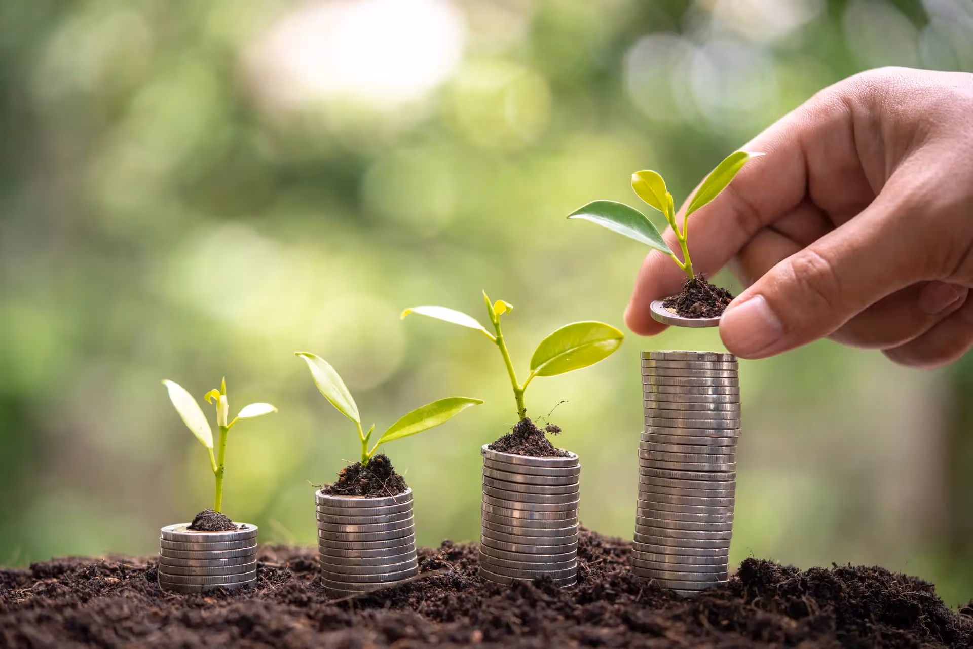 Conferência aborda a sustentabilidade no sector bancário nacional