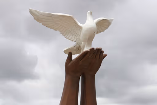 Como ensinar a paz a quem nunca viu a guerra?