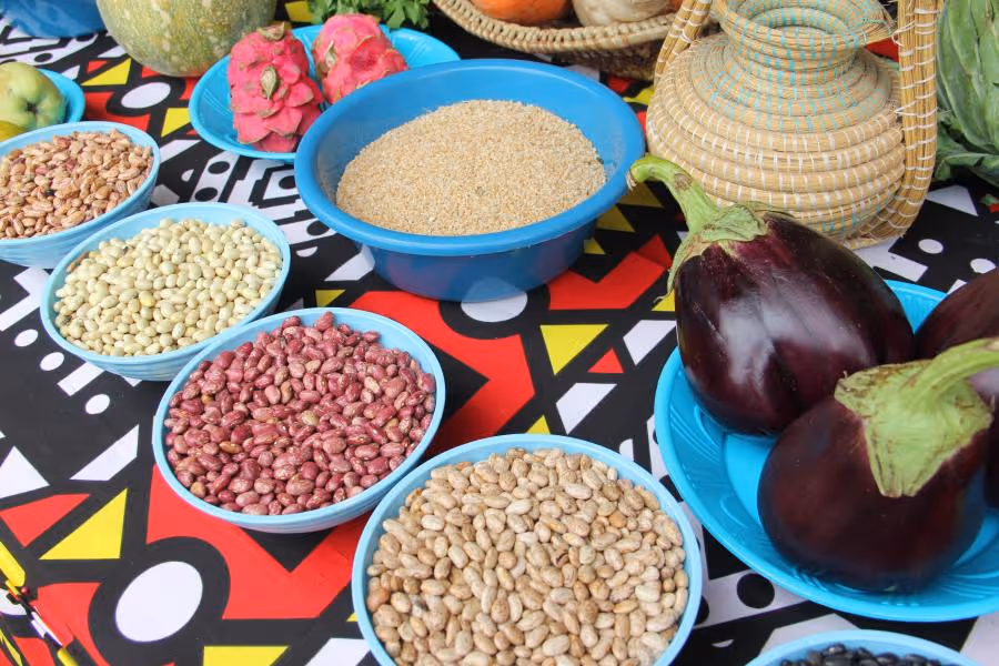 Angola Food Academy abre candidaturas para jovens agentes da mudança alimentar