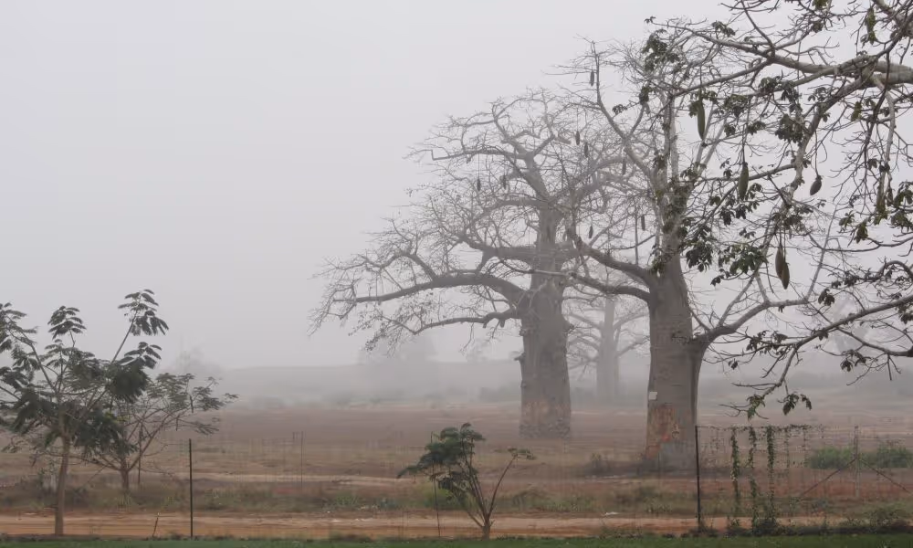 INAMET lança alerta para frio intenso em várias províncias