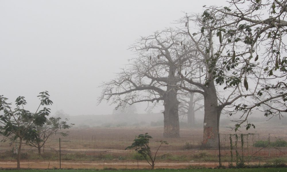 INAMET lança alerta para frio intenso em várias províncias