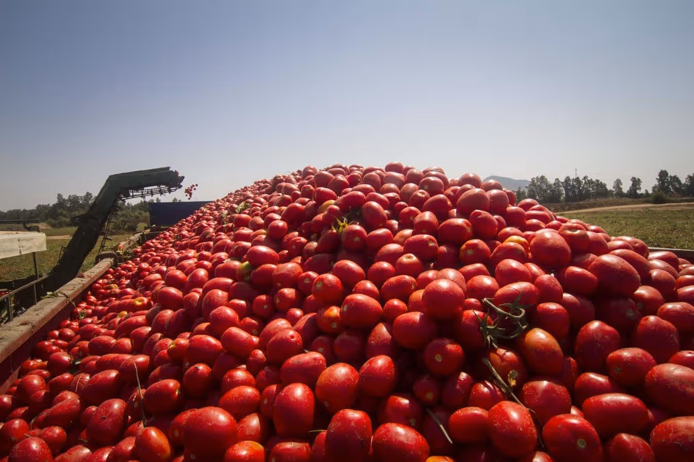 Angola marca presença na Fruit Attraction 2025 com foco em frutas tropicais e tomate