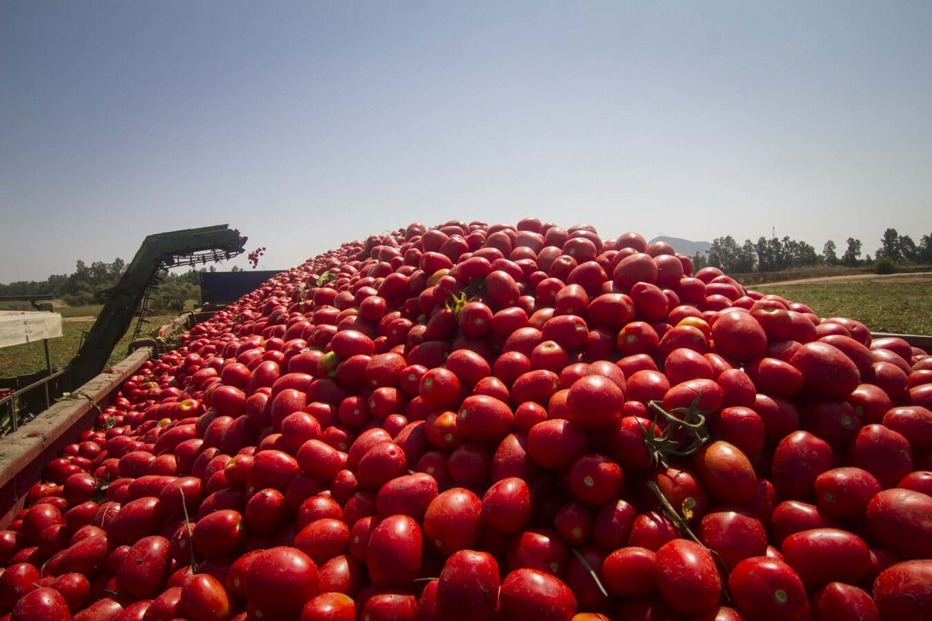 Angola marca presença na Fruit Attraction 2025 com foco em frutas tropicais e tomate