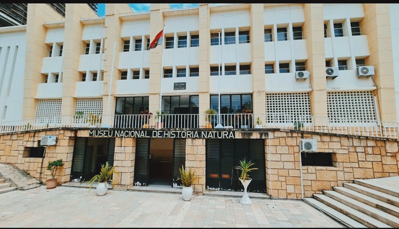 Museu Nacional começa a digitalizar obras de arte históricas do seu acervo