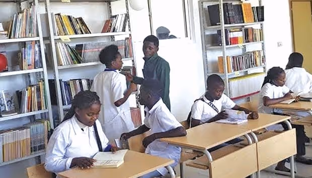 AJE-SUL lança projecto para tornar Bié o “celeiro” de leitores em Angola