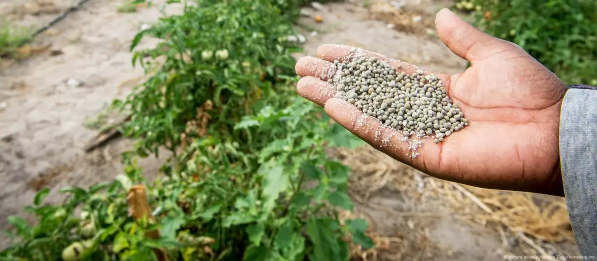 Angola precisa de 800 mil toneladas de fertilizantes por ano e aposta em megaprojectos no Soyo