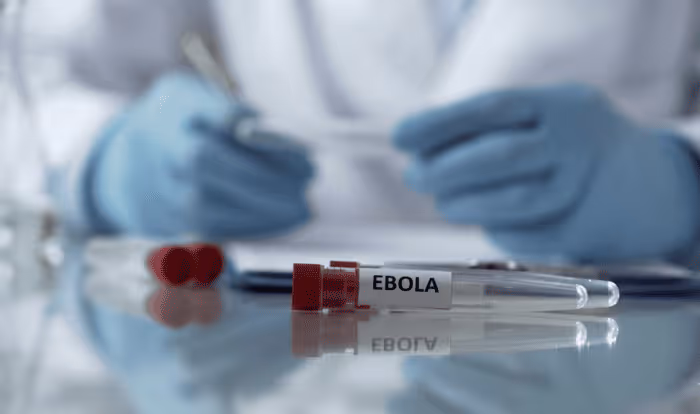 OMS declara emergência internacional devido ao surto de ébola na RDC e Uganda