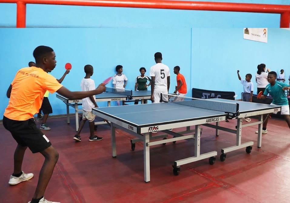 Federação Angolana de Ténis de Mesa recebe lote de material desportivo oferecido pela China
