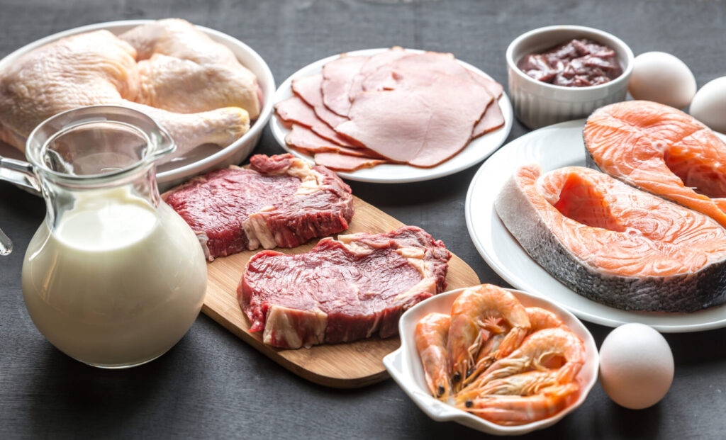 Proteína animal ou vegetal? Conheça as diferenças, benefícios e o impacto ao longo da vida