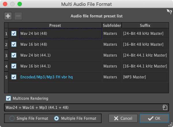 An image of Wavelab's Multi Audio File Format window.