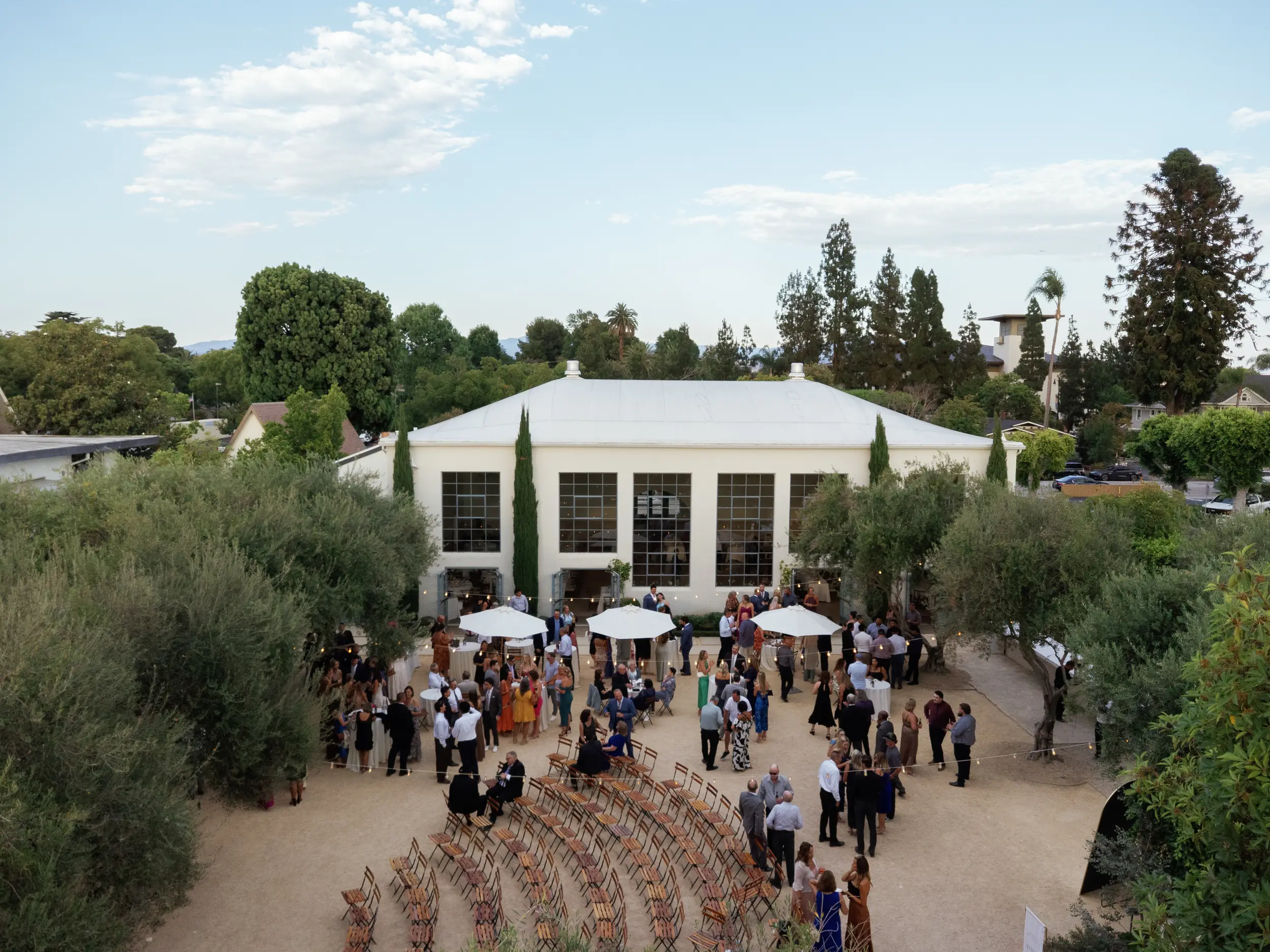 Olive grove cocktail hour at Grand Gimeno wedding venue in Southern California.
