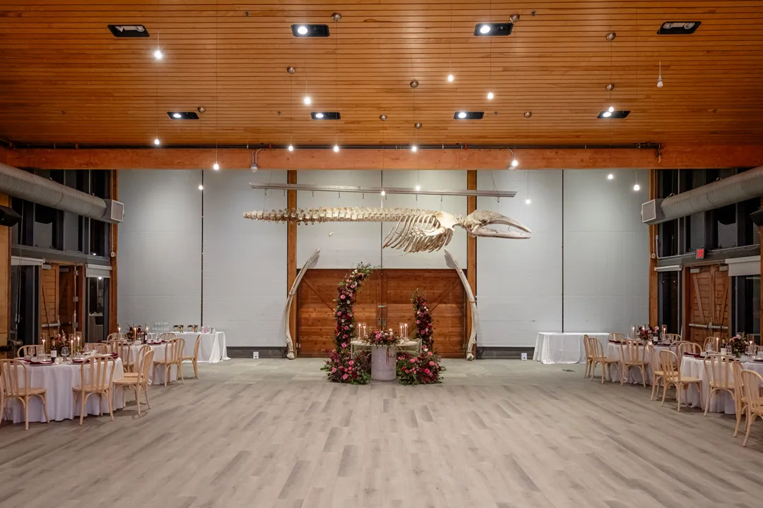 Reception hall with long tables and a suspended whale skeleton above the dance floor.