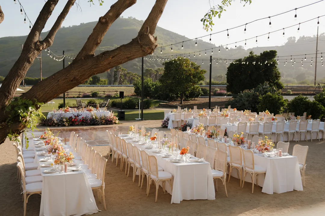 Long outdoor reception tables beneath string lights and a spreading tree.