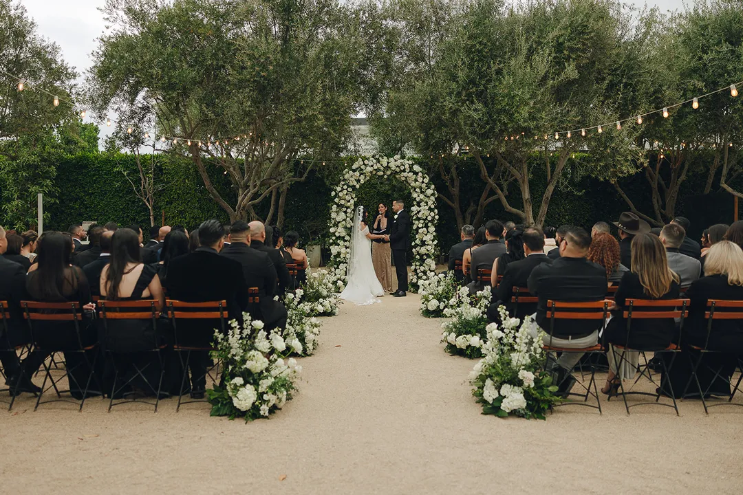 Wedding guests watching the ceremony beneath the olive trees.