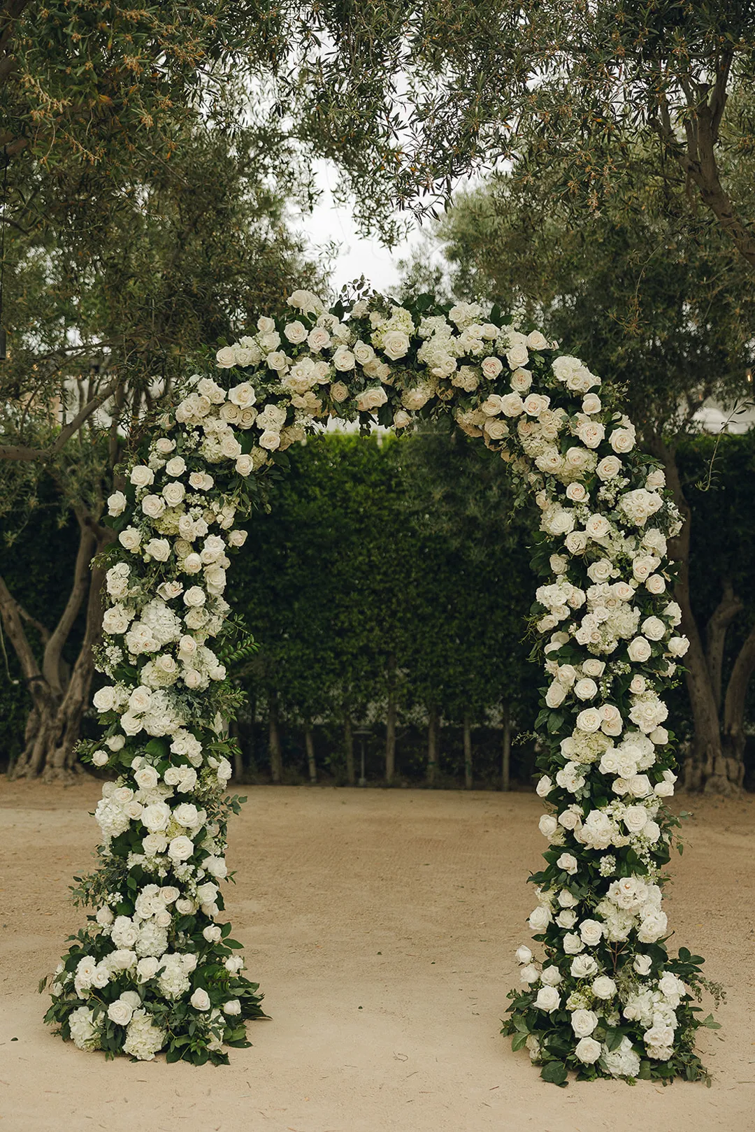 White floral ceremony arch beneath olive trees.