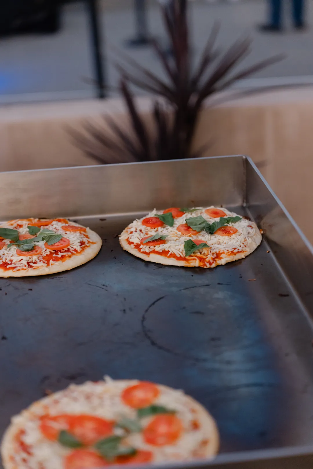 Tomato and basil pizzas ready for baking on a metal work surface.