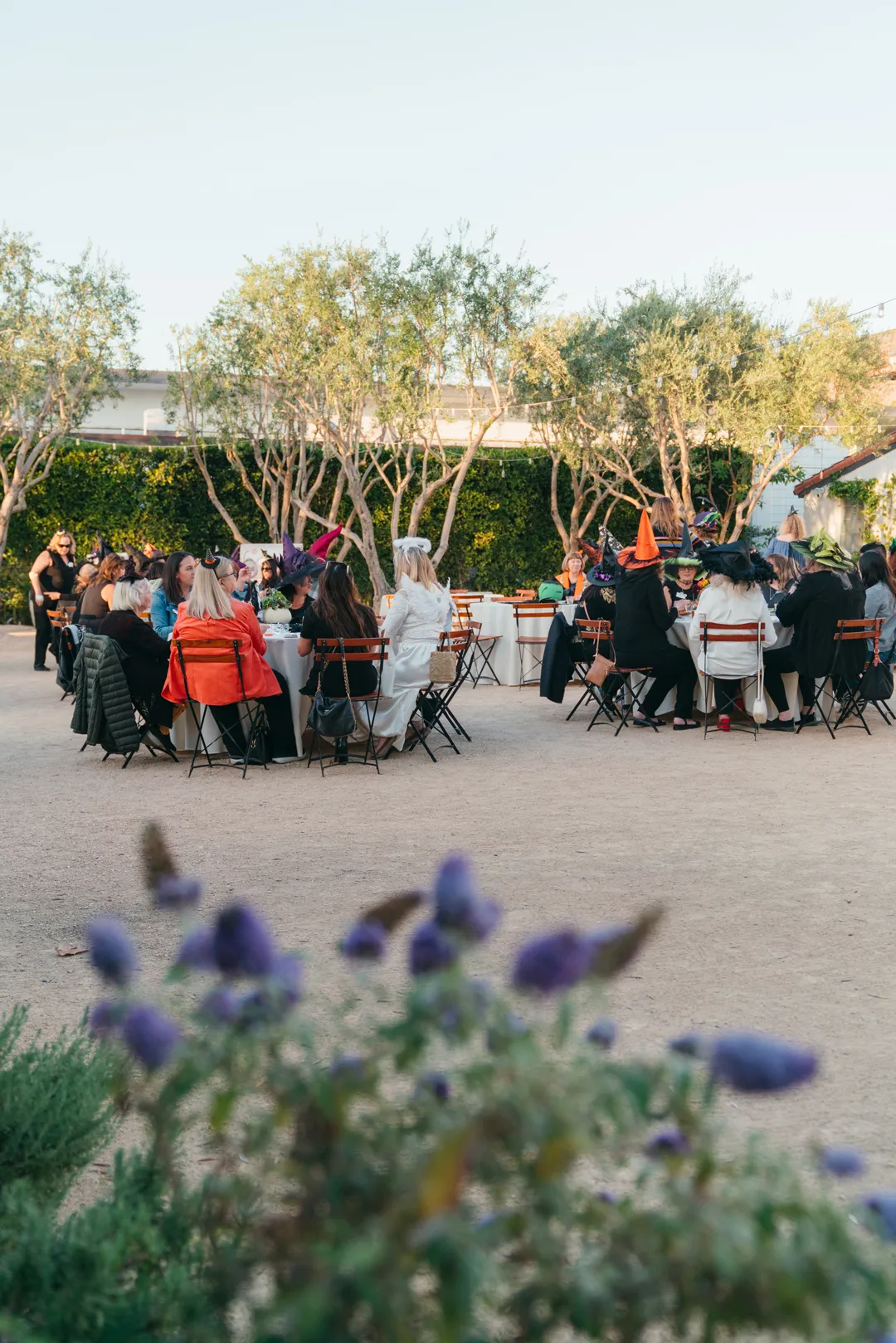 CHOC Guild Con attendees raising their hands in Grand Gimeno's Olive Grove.