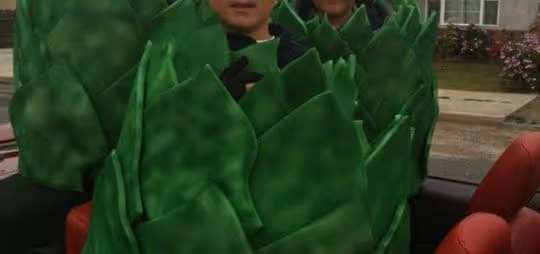 close-up of artichokes