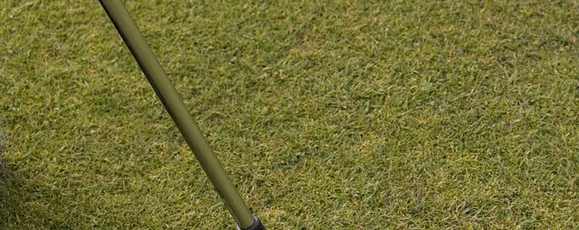 close-up shot of the grass at pebble beach