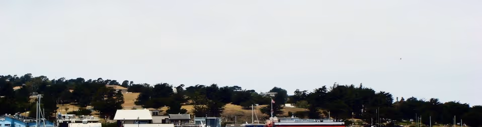 outdoor picture in monterey