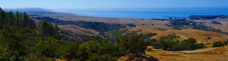 exploring the outdoors in monterey