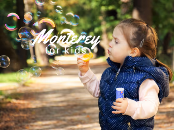 What To Do In Monterey For Kids